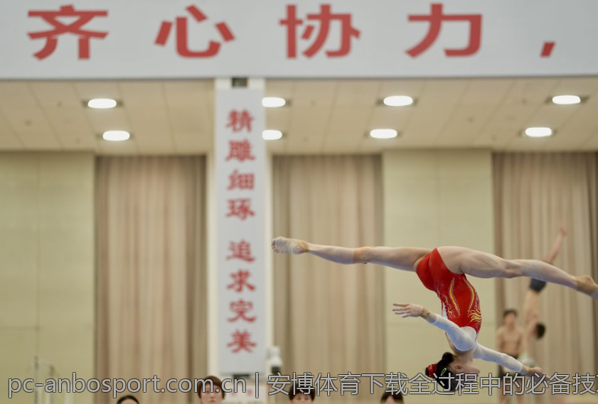 安博体育下载全过程中的必备技巧与窍门